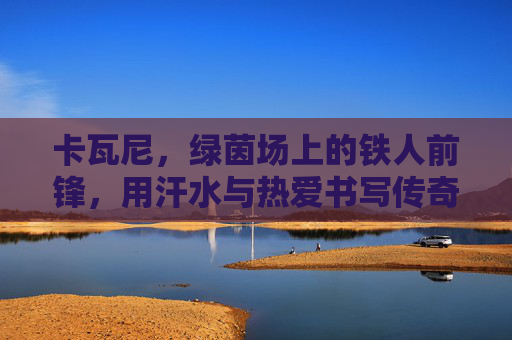 卡瓦尼,绿茵场上的铁人前锋,用汗水与热爱书写传奇,铁人前锋卡瓦尼,汗水与热爱的传奇 卡瓦尼,绿茵场上的铁人前锋,用汗水与热爱书写传奇,铁人前锋卡瓦尼,汗水与热爱的传奇