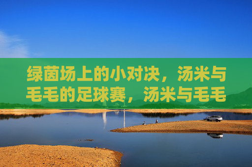 绿茵场上的小对决，汤米与毛毛的足球赛，汤米与毛毛的绿茵小对决