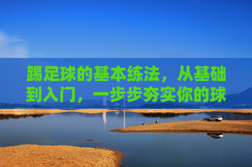 踢足球的基本练法,从基础到入门,一步步夯实你的球技,足球基础入门练法,一步步夯实球技 踢足球的基本练法,从基础到入门,一步步夯实你的球技,足球基础入门练法,一步步夯实球技