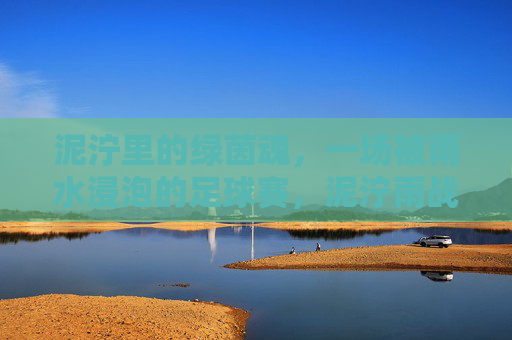 泥泞里的绿茵魂,一场被雨水浸泡的足球赛,泥泞雨战,绿茵魂 泥泞里的绿茵魂,一场被雨水浸泡的足球赛,泥泞雨战,绿茵魂