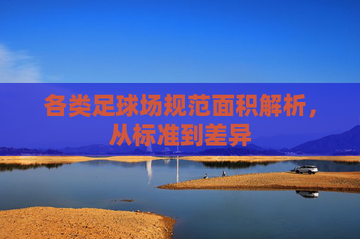 各类足球场规范面积解析，从标准到差异