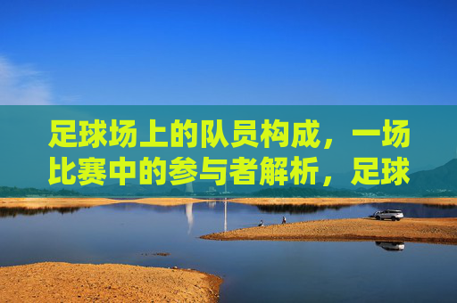 足球场上的队员构成，一场比赛中的参与者解析，足球比赛队员构成与参与者解析