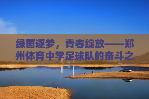 绿茵逐梦,青春绽放——郑州体育中学足球队的奋斗之路,绿茵逐梦,青春绽放 绿茵逐梦,青春绽放——郑州体育中学足球队的奋斗之路,绿茵逐梦,青春绽放