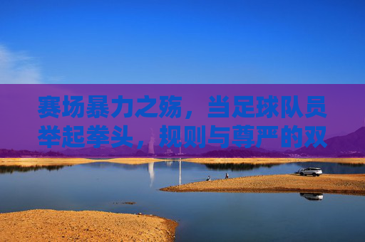 赛场暴力之殇,当足球队员举起拳头,规则与尊严的双重崩塌 赛场暴力之殇,当足球队员举起拳头,规则与尊严的双重崩塌