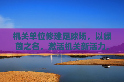 机关单位修建足球场，以绿茵之名，激活机关新活力，机关绿茵场，激活机关新活力
