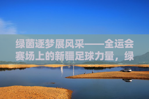 绿茵逐梦展风采——全运会赛场上的新疆足球力量，绿茵逐梦展风采，新疆足球力量闪耀全运会