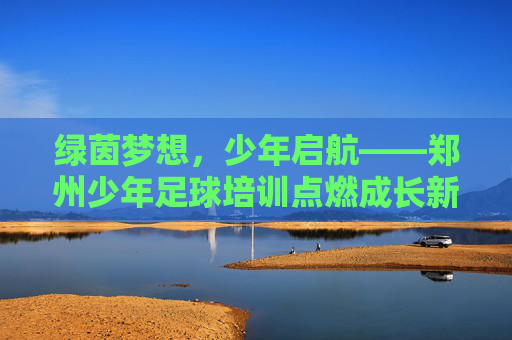绿茵梦想，少年启航——郑州少年足球培训点燃成长新活力，郑州少年足球培训，绿茵梦想启航，点燃成长新活力