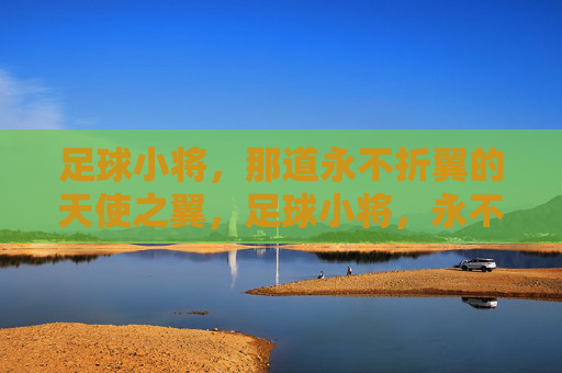 足球小将,那道永不折翼的天使之翼,足球小将,永不折翼的天使之翼 足球小将,那道永不折翼的天使之翼,足球小将,永不折翼的天使之翼