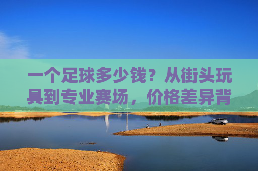 一个足球多少钱?从街头玩具到专业赛场,价格差异背后的秘密,街头玩具到专业赛场,足球价格差异背后的秘密 一个足球多少钱?从街头玩具到专业赛场,价格差异背后的秘密,街头玩具到专业赛场,足球价格差异背后的秘密