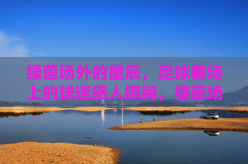 绿茵场外的星辰,足球赛场上的球迷感人瞬间,绿茵场外星辰闪耀,赛场球迷感人瞬间 绿茵场外的星辰,足球赛场上的球迷感人瞬间,绿茵场外星辰闪耀,赛场球迷感人瞬间