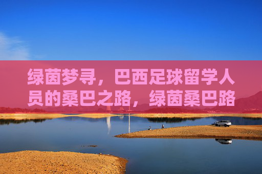 绿茵梦寻,巴西足球留学人员的桑巴之路,绿茵桑巴路,巴西足球留学人员的逐梦之旅 绿茵梦寻,巴西足球留学人员的桑巴之路,绿茵桑巴路,巴西足球留学人员的逐梦之旅