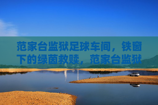 范家台监狱足球车间,铁窗下的绿茵救赎,范家台监狱足球车间,铁窗下的绿茵救赎 范家台监狱足球车间,铁窗下的绿茵救赎,范家台监狱足球车间,铁窗下的绿茵救赎