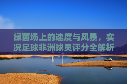 绿茵场上的速度与风暴，实况足球非洲球员评分全解析，实况足球非洲球员评分全解析