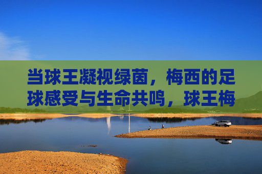 当球王凝视绿茵，梅西的足球感受与生命共鸣，球王梅西，绿茵凝视与生命共鸣