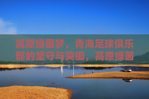高原绿茵梦,青海足球俱乐部的坚守与突围,高原绿茵梦,青海足球俱乐部的坚守与突围 高原绿茵梦,青海足球俱乐部的坚守与突围,高原绿茵梦,青海足球俱乐部的坚守与突围