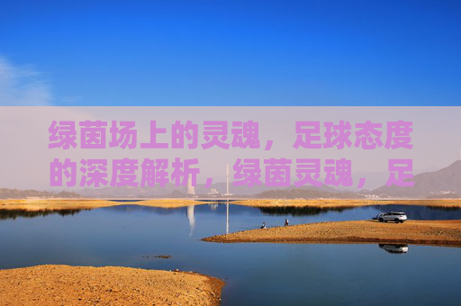 绿茵场上的灵魂,足球态度的深度解析,绿茵灵魂,足球态度的深度解析 绿茵场上的灵魂,足球态度的深度解析,绿茵灵魂,足球态度的深度解析