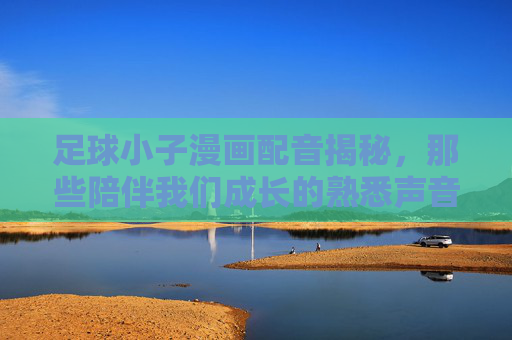 足球小子漫画配音揭秘，那些陪伴我们成长的熟悉声音