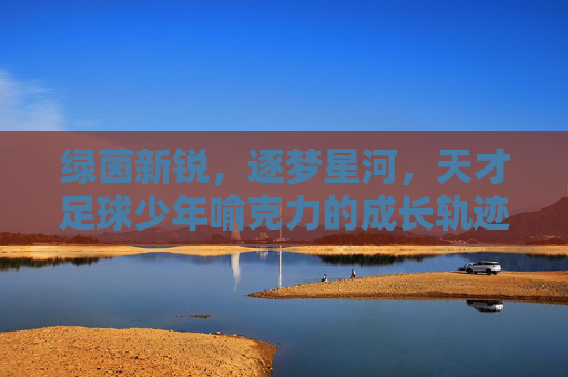 绿茵新锐,逐梦星河,天才足球少年喻克力的成长轨迹,喻克力,逐梦星河的绿茵成长轨迹 绿茵新锐,逐梦星河,天才足球少年喻克力的成长轨迹,喻克力,逐梦星河的绿茵成长轨迹