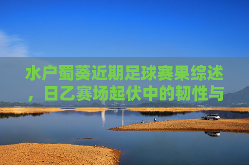 水户蜀葵近期足球赛果综述，日乙赛场起伏中的韧性与调整，水户蜀葵日乙赛果综述，起伏中的韧性与调整