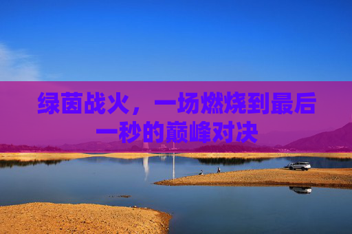 绿茵战火,一场燃烧到最后一秒的巅峰对决 绿茵战火,一场燃烧到最后一秒的巅峰对决