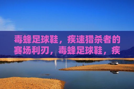 毒蜂足球鞋,疾速猎杀者的赛场利刃,毒蜂足球鞋,疾速猎杀者的赛场利刃 毒蜂足球鞋,疾速猎杀者的赛场利刃,毒蜂足球鞋,疾速猎杀者的赛场利刃