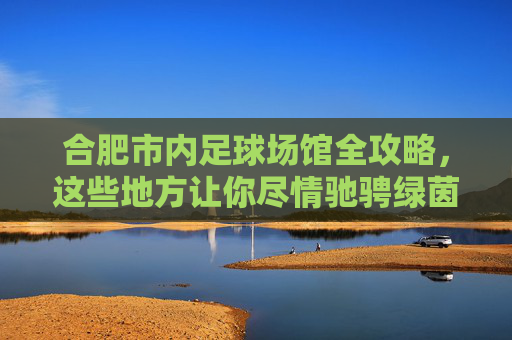 合肥市内足球场馆全攻略，这些地方让你尽情驰骋绿茵场，合肥市足球场馆全攻略，尽情驰骋绿茵场
