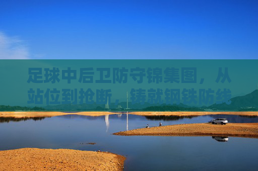 足球中后卫防守锦集图,从站位到抢断,铸就钢铁防线,中后卫防守图集,站位抢断铸就钢铁防线 足球中后卫防守锦集图,从站位到抢断,铸就钢铁防线,中后卫防守图集,站位抢断铸就钢铁防线