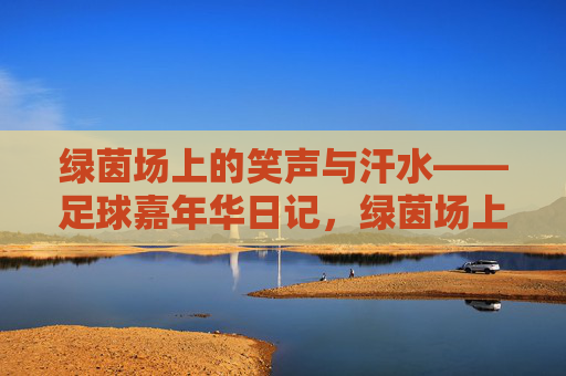 绿茵场上的笑声与汗水——足球嘉年华日记，绿茵场上的笑声与汗水——足球嘉年华
