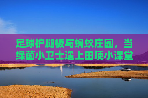 足球护腿板与蚂蚁庄园，当绿茵小卫士遇上田埂小课堂