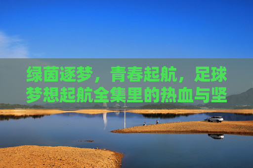 绿茵逐梦，青春起航，足球梦想起航全集里的热血与坚持，绿茵逐梦，青春热血起航