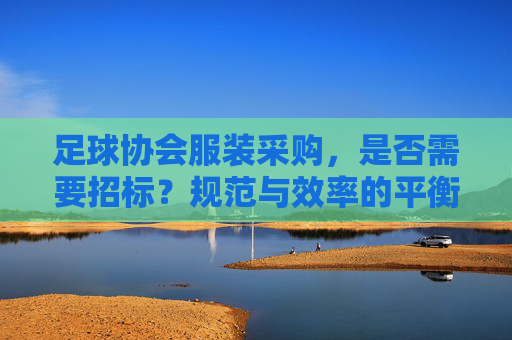 足球协会服装采购，是否需要招标？规范与效率的平衡之道，足球协会服装采购，招标的规范与效率平衡之道