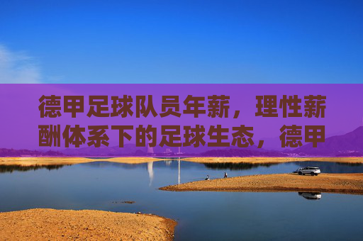德甲足球队员年薪，理性薪酬体系下的足球生态，德甲，理性薪酬体系下的足球生态与年薪图景