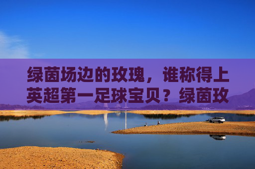 绿茵场边的玫瑰，谁称得上英超第一足球宝贝？绿茵玫瑰，谁称得上英超第一足球宝贝？