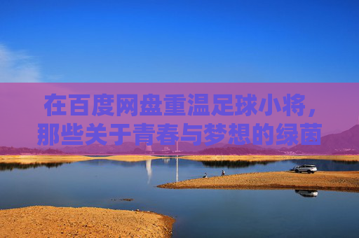 在百度网盘重温足球小将，那些关于青春与梦想的绿茵记忆，重温足球小将，青春与梦想的绿茵记忆