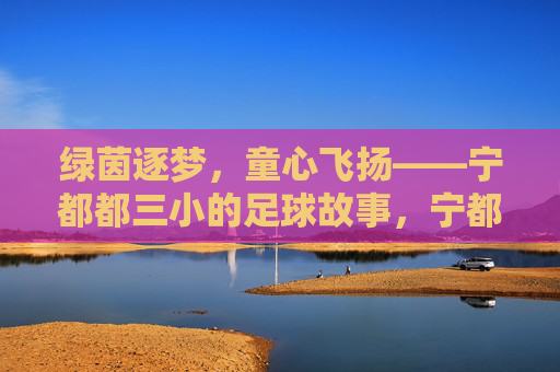 绿茵逐梦，童心飞扬——宁都都三小的足球故事，宁都都三小足球，绿茵逐梦，童心飞扬