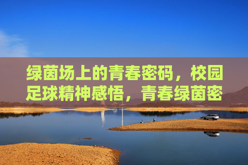 绿茵场上的青春密码，校园足球精神感悟，青春绿茵密码，校园足球精神