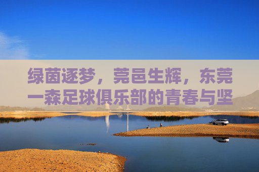 绿茵逐梦，莞邑生辉，东莞一森足球俱乐部的青春与坚守，绿茵逐梦青春守，莞邑生辉一森光