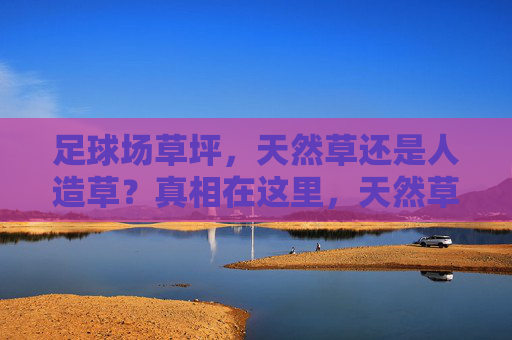 足球场草坪，天然草还是人造草？真相在这里，天然草VS人造草，足球场草坪的真相