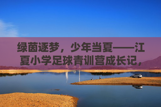 绿茵逐梦，少年当夏——江夏小学足球青训营成长记，江夏小学足球青训营，绿茵逐梦，少年当夏成长