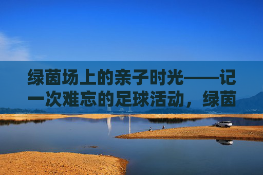 绿茵场上的亲子时光——记一次难忘的足球活动，绿茵场上的亲子足球时光