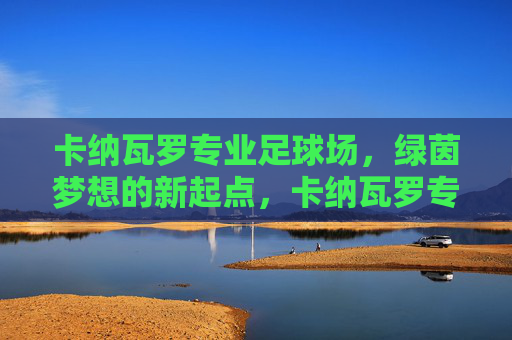 卡纳瓦罗专业足球场,绿茵梦想的新起点,卡纳瓦罗专业足球场,绿茵梦想新起点 卡纳瓦罗专业足球场,绿茵梦想的新起点,卡纳瓦罗专业足球场,绿茵梦想新起点