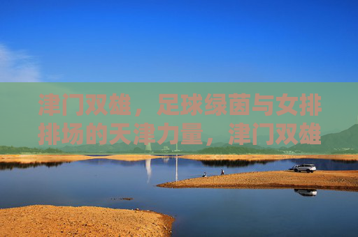 津门双雄,足球绿茵与女排排场的天津力量,津门双雄,绿茵排场间的天津力量 津门双雄,足球绿茵与女排排场的天津力量,津门双雄,绿茵排场间的天津力量