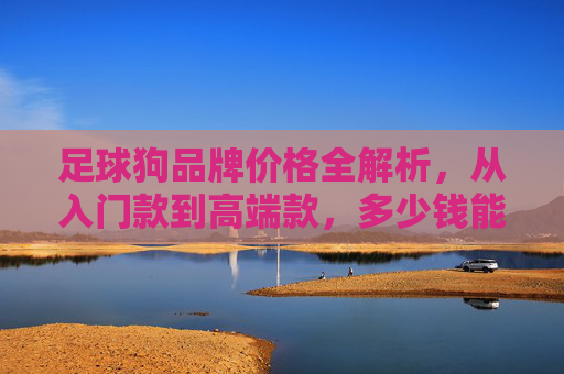 足球狗品牌价格全解析，从入门款到高端款，多少钱能入手？足球狗品牌价格全解析，从入门到高端，多少钱能入手？