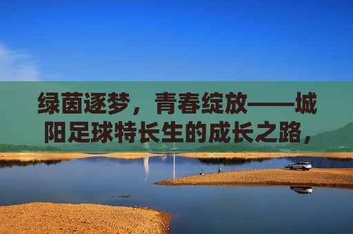 绿茵逐梦，青春绽放——城阳足球特长生的成长之路，绿茵逐梦，青春绽放——城阳足球特长生的成长之路
