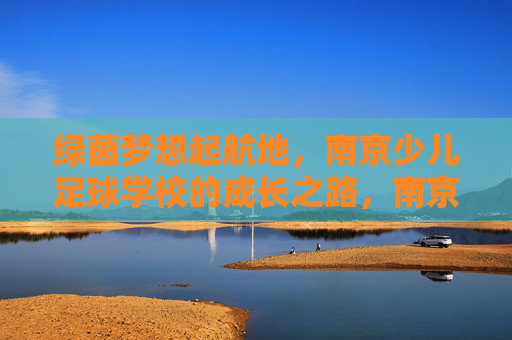 绿茵梦想起航地,南京少儿足球学校的成长之路,南京少儿足球学校,绿茵梦想的起航与成长 绿茵梦想起航地,南京少儿足球学校的成长之路,南京少儿足球学校,绿茵梦想的起航与成长