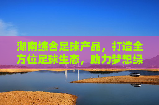 湖南综合足球产品，打造全方位足球生态，助力梦想绿茵飞扬，湖南综合足球产品，构筑全方位足球生态，助力梦想绿茵飞扬