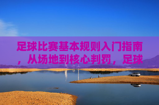 足球比赛基本规则入门指南，从场地到核心判罚，足球基本规则入门指南，从场地到核心判罚