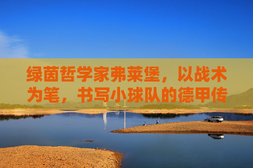 绿茵哲学家弗莱堡，以战术为笔，书写小球队的德甲传奇