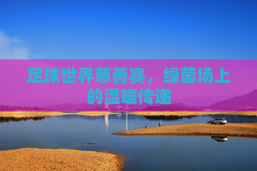足球世界慈善赛，绿茵场上的温暖传递