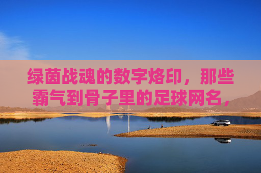 绿茵战魂的数字烙印,那些霸气到骨子里的足球网名,绿茵战魂数字烙印,霸气到骨子的足球网名 绿茵战魂的数字烙印,那些霸气到骨子里的足球网名,绿茵战魂数字烙印,霸气到骨子的足球网名